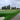 Advanced Putting Grass