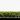 Putting Gras